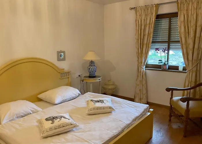 Apartment Szilvias *